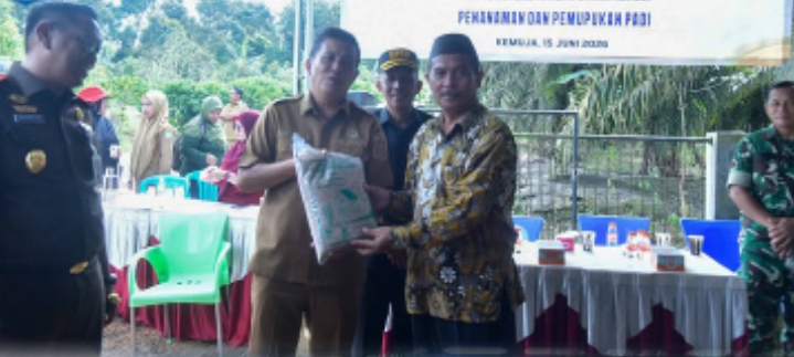 BUPATI BANGKA TINJAU PENYALURAN PUPUK BERSUBSIDI DI KEMUJE